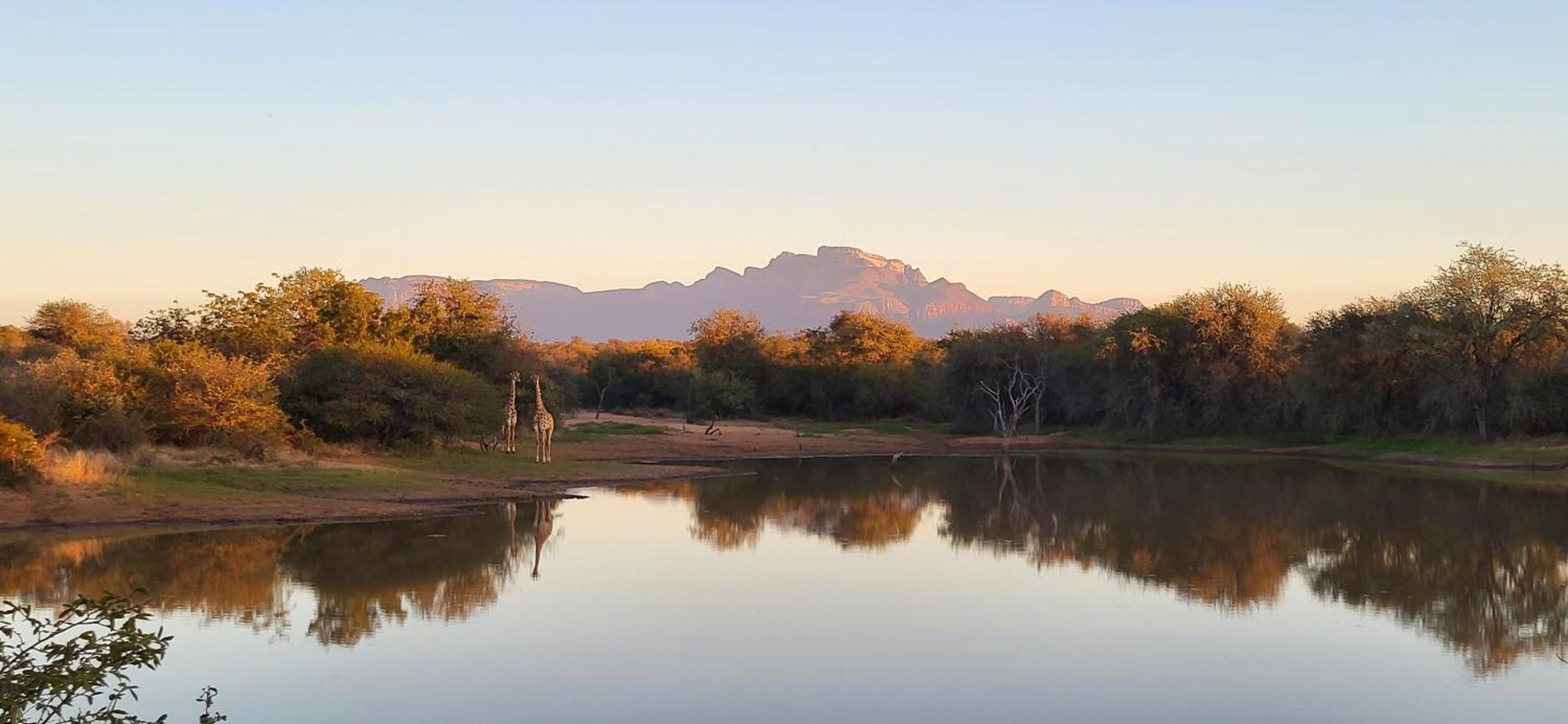 Villa Lanterfant - Luxury Stay In Nature - Solar Powered Hoedspruit Bagian luar foto